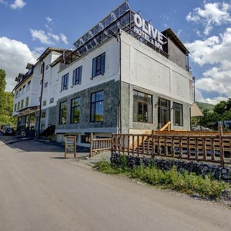 Olive Ala-Archa Hotel & Spa Verkhnyaya Alaarcha Zewnętrze zdjęcie